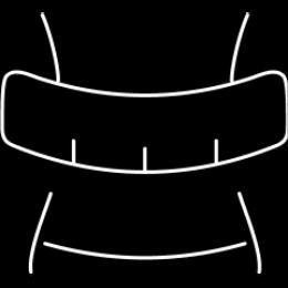 Abs Icon